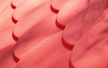 Hollis Head plastic roof costs